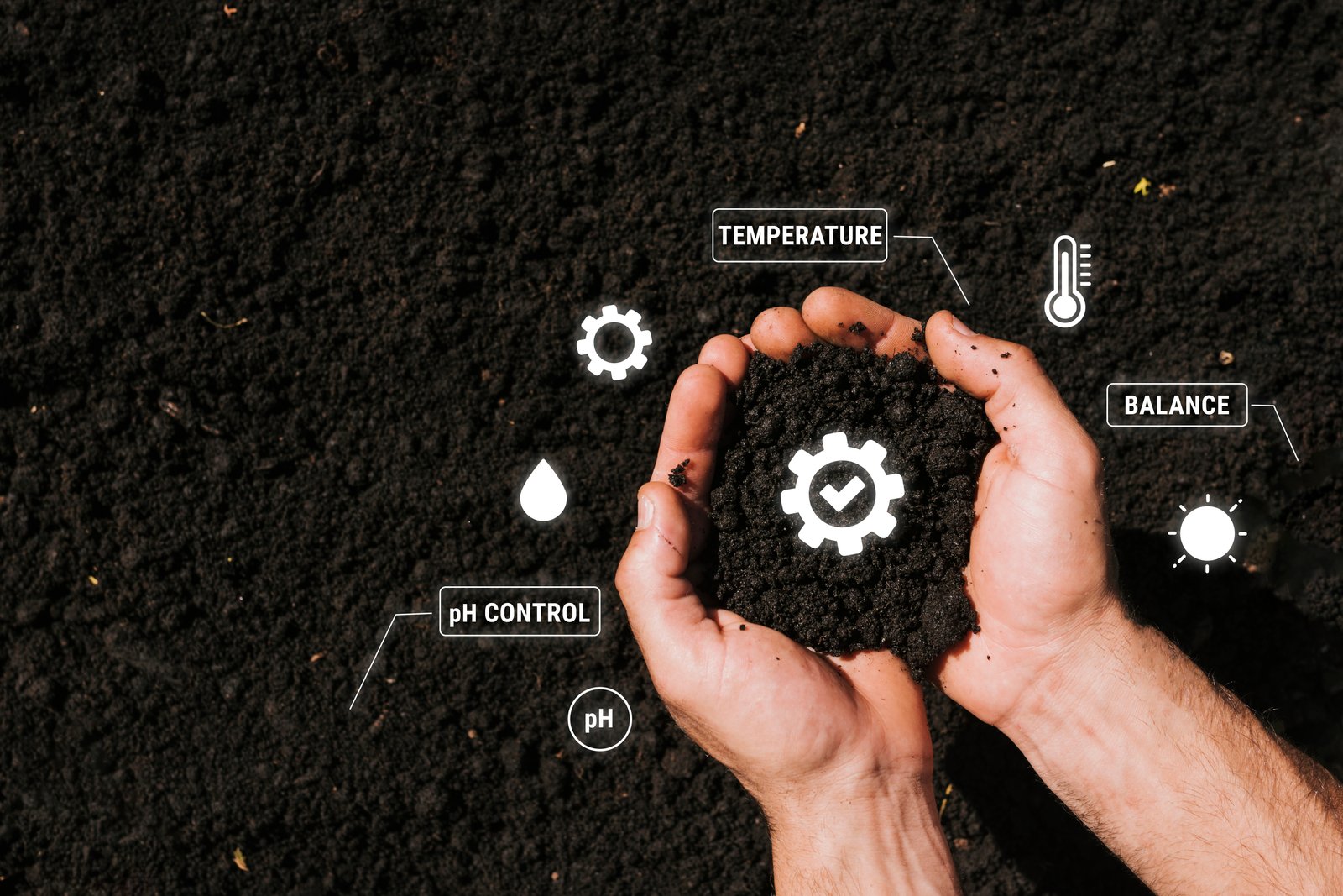 Open Innovation